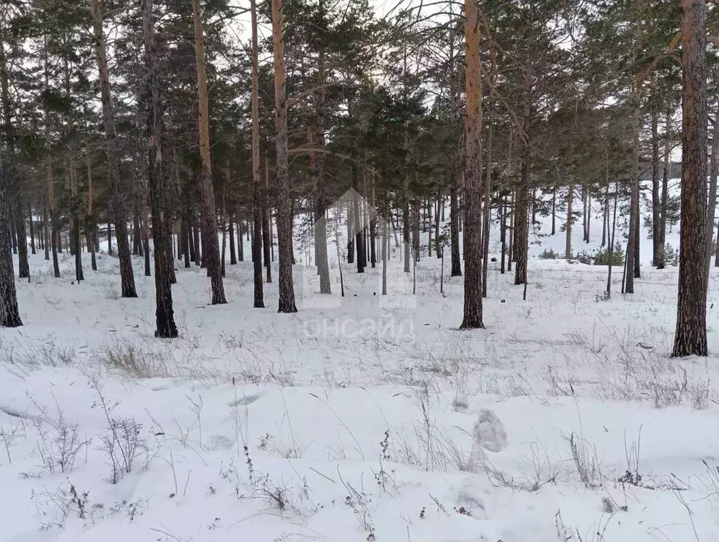 Участок в Бурятия, Улан-Удэ ул. Сочинская (9.0 сот.) - Фото 0