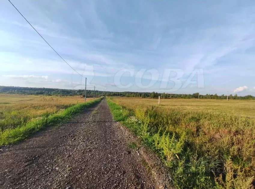 Участок в Тюменская область, Нижнетавдинский район, с. Тюнево  (7.5 ... - Фото 1