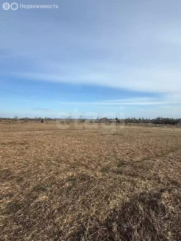 Участок в Вологодский муниципальный округ, деревня Филисово (20 м) - Фото 1