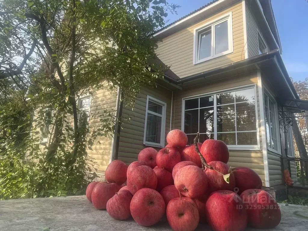Дом в Ленинградская область, Ломоносовский район, Пениковское с/пос, ... - Фото 1