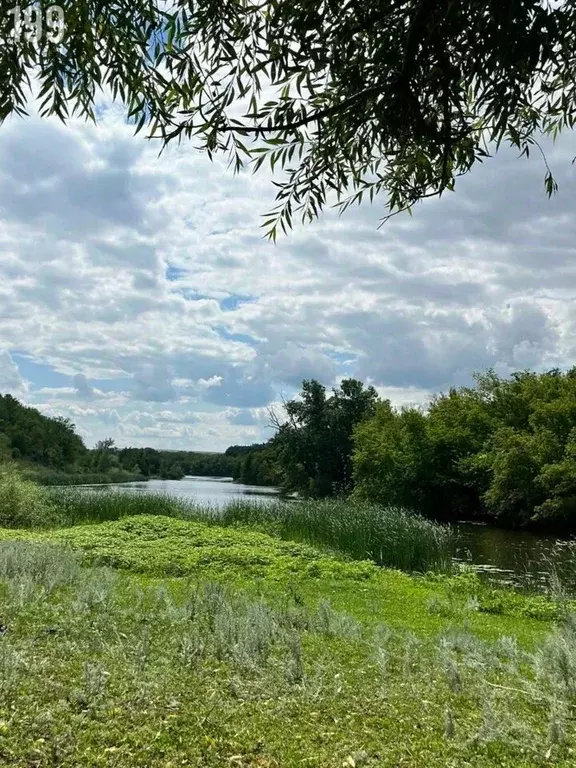 Участок в Оренбургская область, Оренбург городской округ, пос. ... - Фото 0