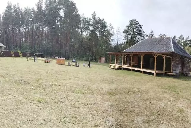 Участок в Брянская область, Брянский район, Свенское с/пос, пос. ... - Фото 1