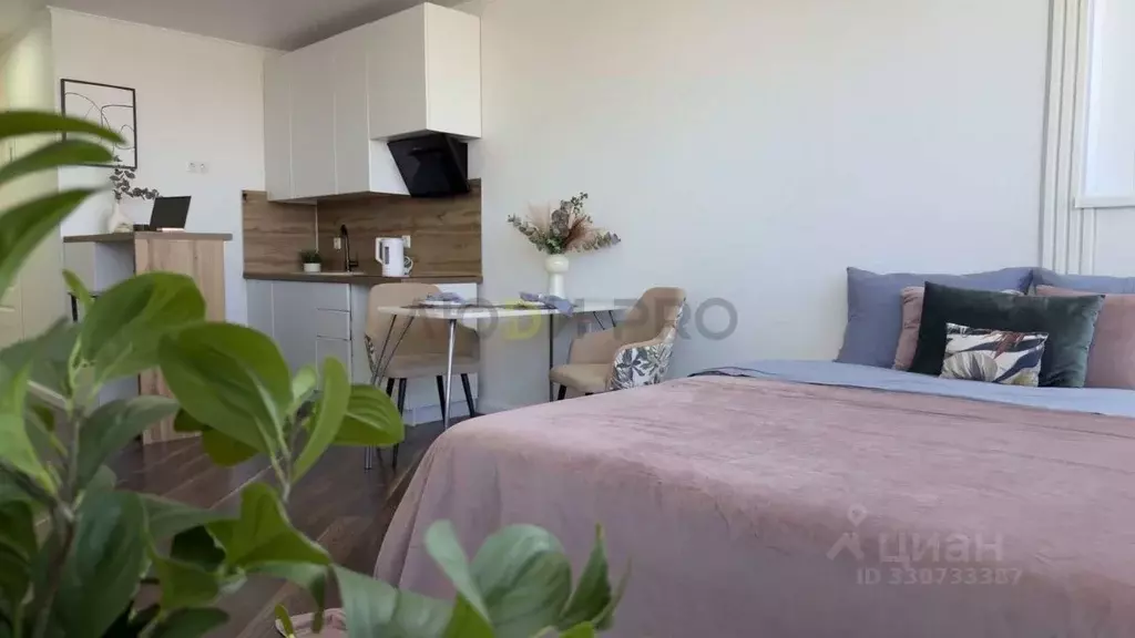 Студия Саратовская область, Энгельс ул. Пушкина, 87 (26.0 м) - Фото 1
