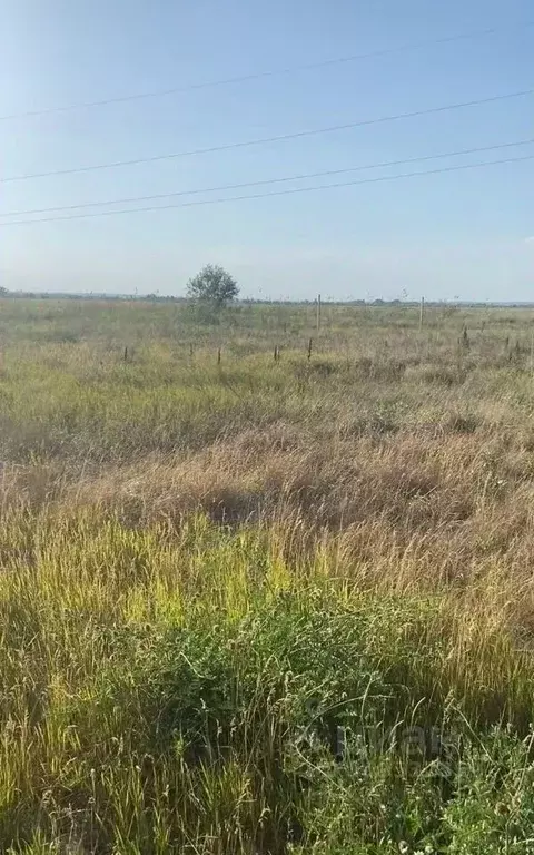 Участок в Ростовская область, Аксайский район, Ольгинское с/пос, ... - Фото 0