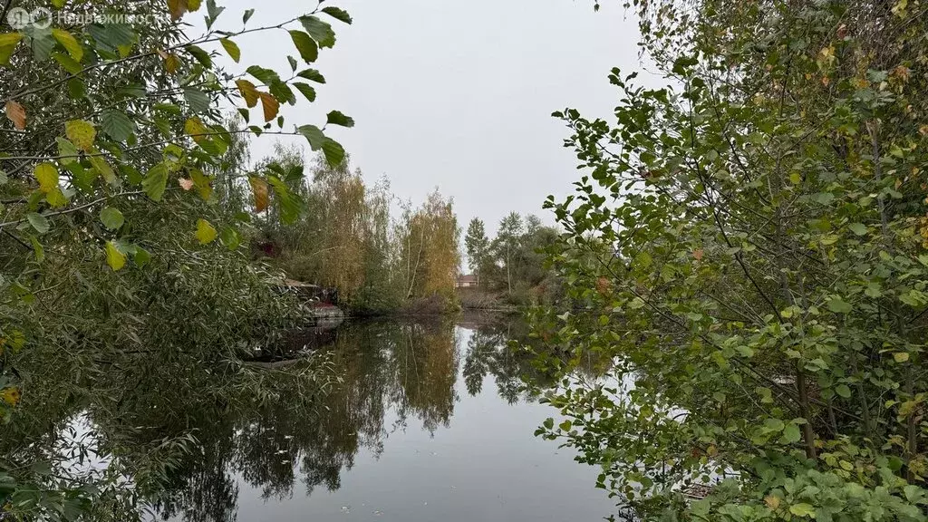 Участок в Московская область, городской округ Коломна, деревня Шапкино ... - Фото 1