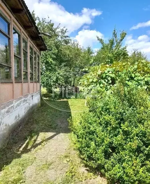 3-к кв. Калининградская область, Правдинский муниципальный округ, пос. ... - Фото 2