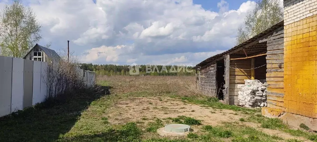 Дом в Владимирская область, Камешковский район, д. Брызгалово, д. ... - Фото 1