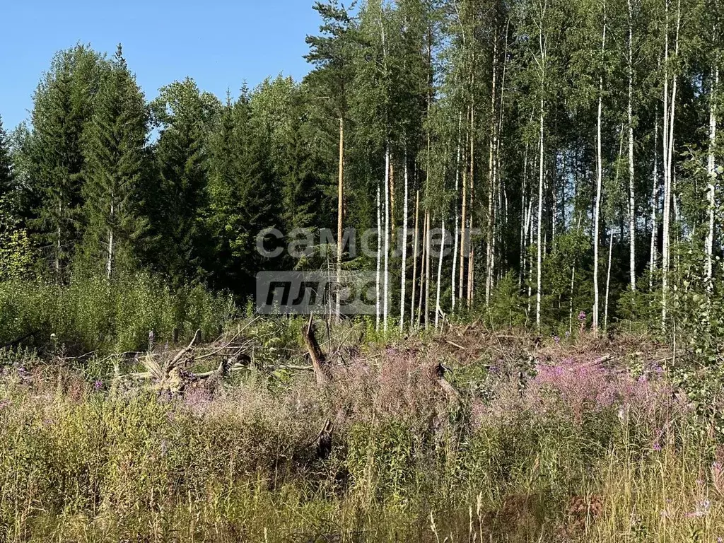 Участок в Пермский край, Березники ул. Васильковая, 1 (8.7 сот.) - Фото 0