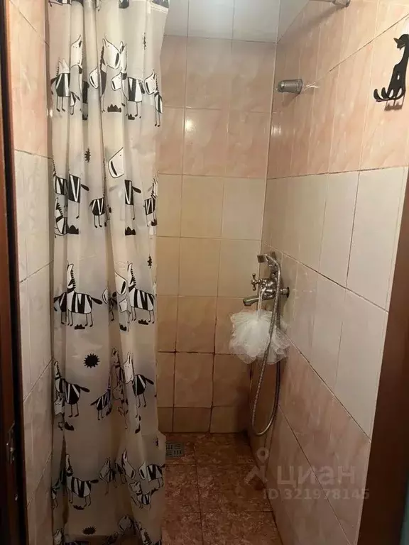 Комната Санкт-Петербург ул. Асафьева, 9К1 (13.0 м) - Фото 2