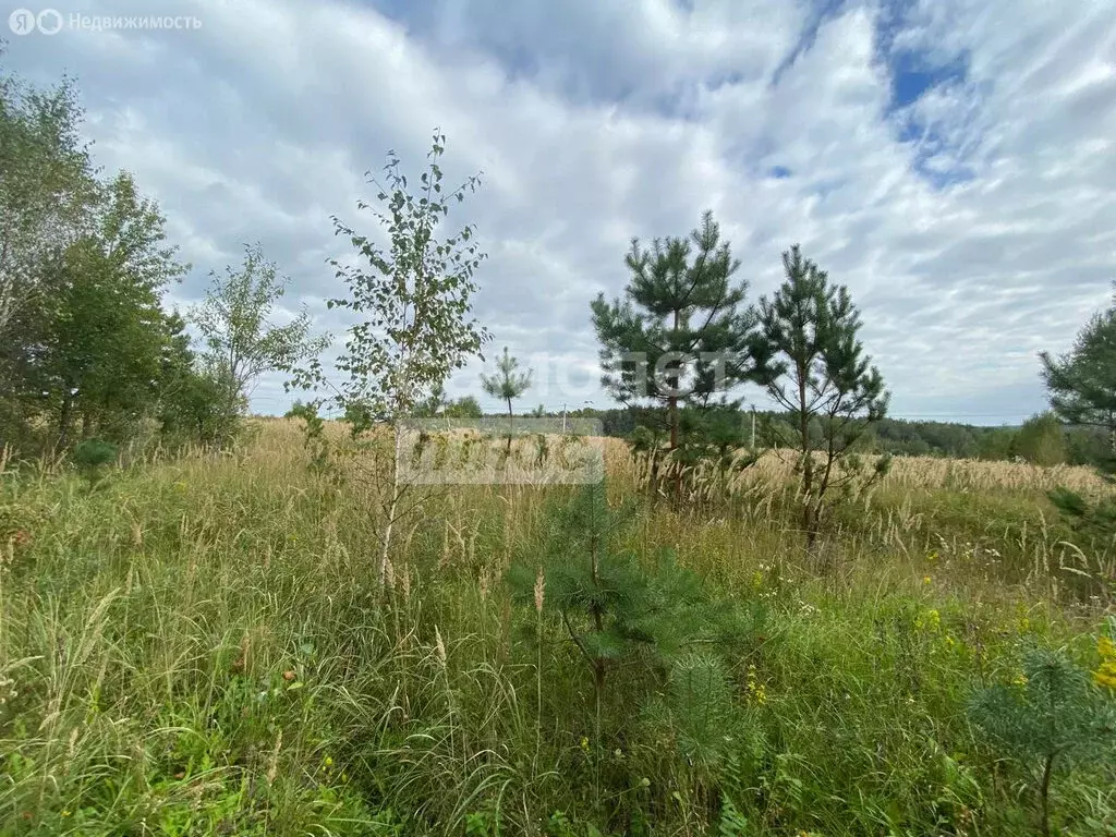 Участок в Заокский район, сельское поселение Страховское (14 м) - Фото 0