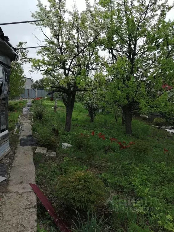 Дом в Самарская область, Красноярский район, Новосемейкино городское ... - Фото 1