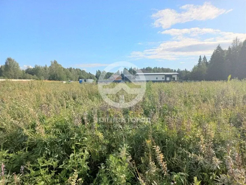 Участок в Московская область, Клин городской округ, Причал кп  (11.0 ... - Фото 2