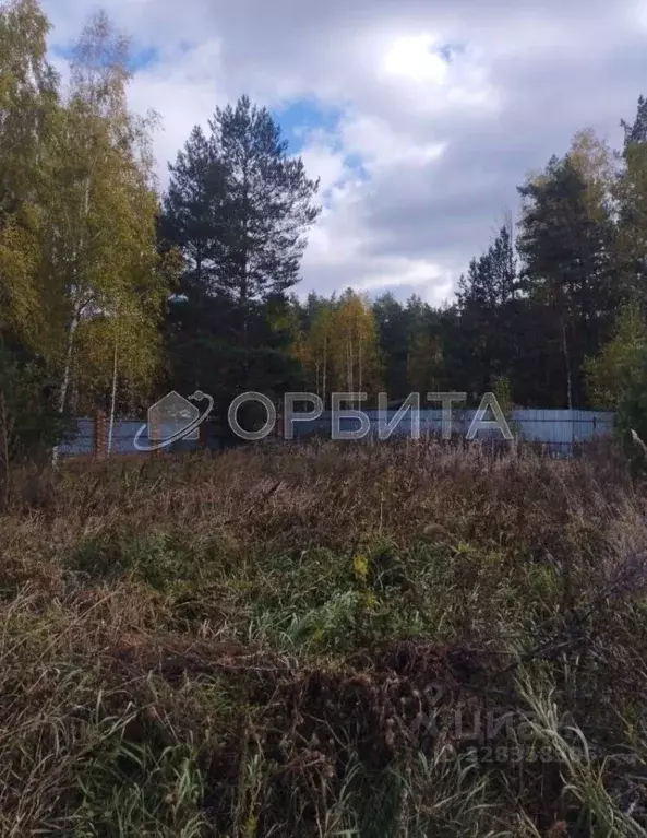 Участок в Тюменская область, Тюменский муниципальный округ, д. Ушакова ... - Фото 1