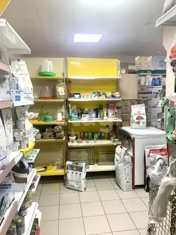 Торговая площадь в Калужская область, Козельск ул. Чкалова, 14 (100 м) - Фото 2