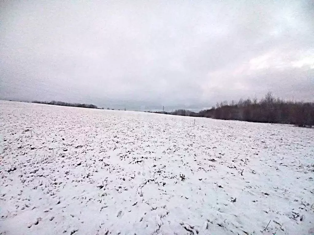 Участок в Кировская область, Слободской район, д. Стулово ул. ... - Фото 1