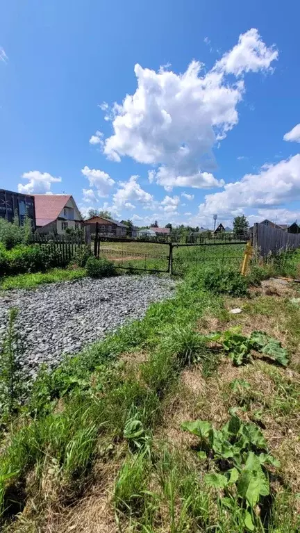 Участок в Алтайский край, Барнаул городской округ, пос. Бельмесево ул. ... - Фото 1