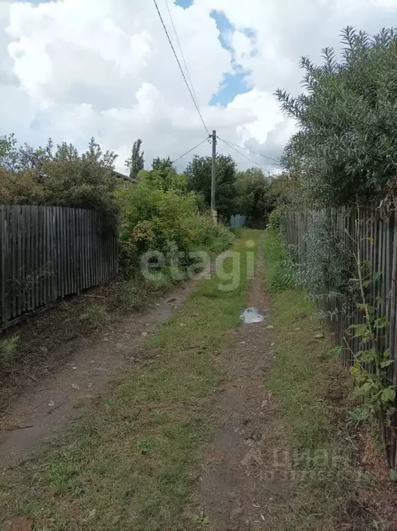 Участок в Омская область, Омск Изыскатель СНТ, 291 (5.9 сот.) - Фото 1