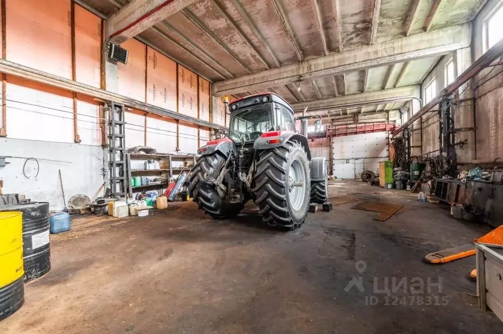 Склад в Ленинградская область, Волосовский район, Клопицкое с/пос, ... - Фото 2