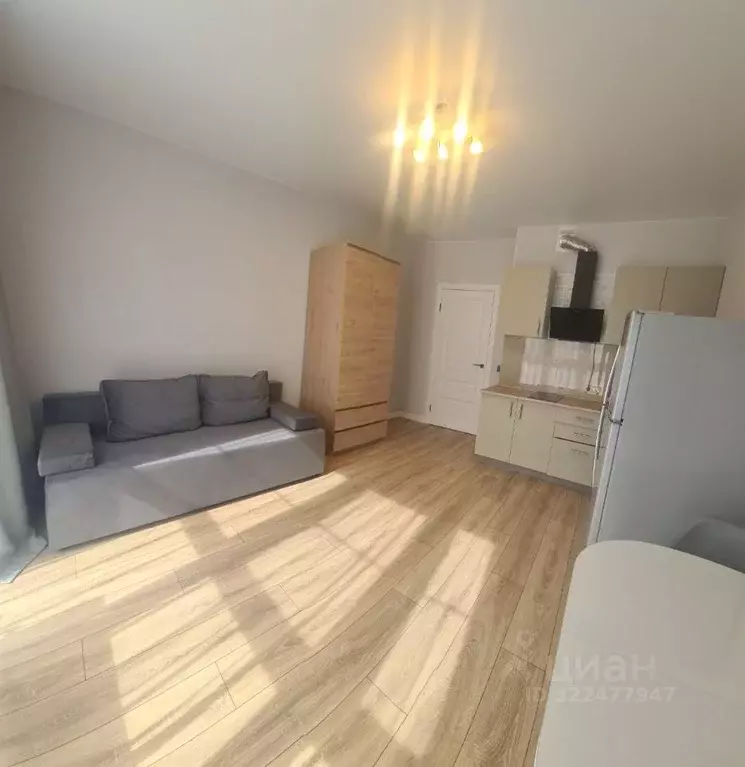 Студия Краснодарский край, Краснодар ул. Ивана Беличенко, 92к2 (25.0 ... - Фото 1