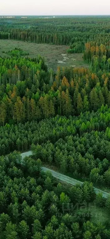 Участок в Московская область, Дмитровский муниципальный округ, д. ... - Фото 2