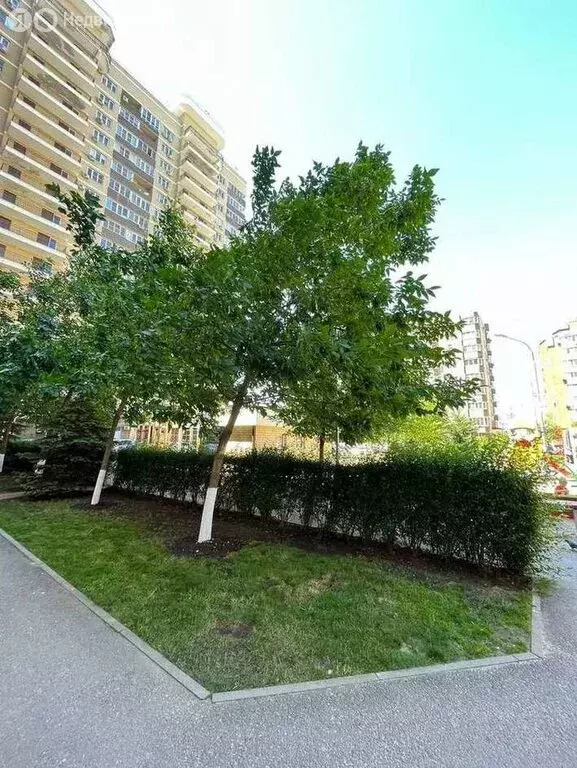 1-комнатная квартира: Краснодар, Российская улица, 74 (42 м) - Фото 1