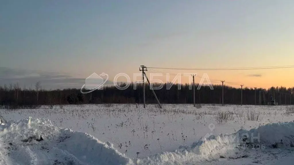 Участок в Тюменская область, Тюменский район, с. Горьковка Сибирская ... - Фото 0