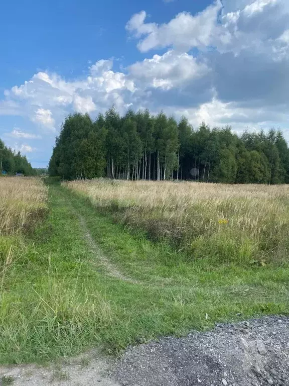Участок в Тульская область, Заокский район, Страховское с/пос, д. ... - Фото 1