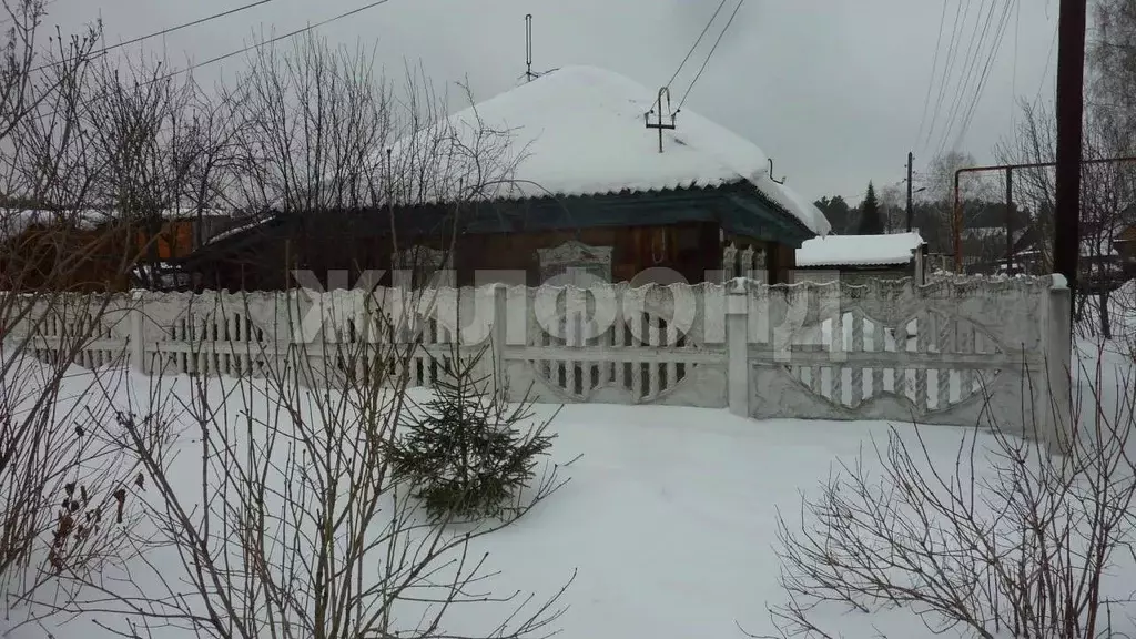 Дом в Новосибирская область, Новосибирск Пихтовая ул. (62 м) - Фото 2