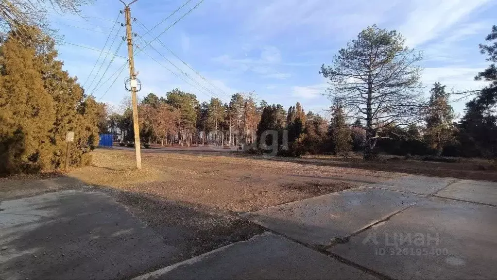 Торговая площадь в Краснодарский край, Ейский район, Копанское с/пос, ... - Фото 2