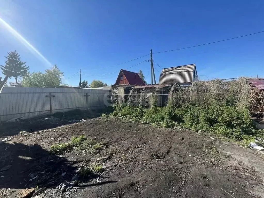 Участок в Тюменская область, Тюмень Подорожник СНТ, ул. Северная, 1 ... - Фото 1