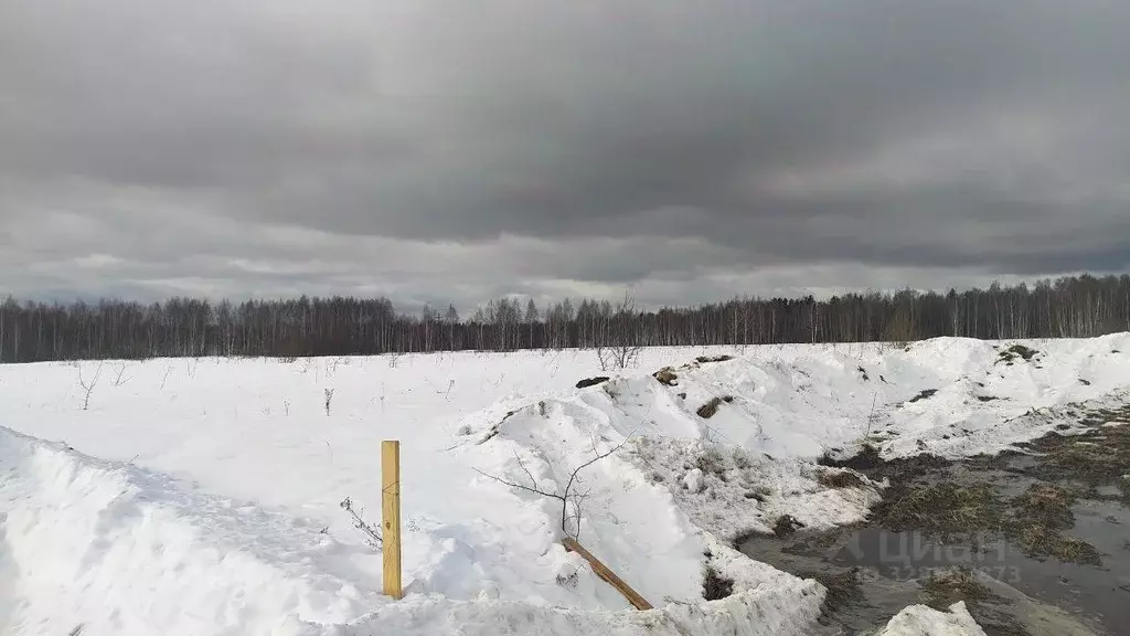 Участок в Московская область, Раменский муниципальный округ, д. ... - Фото 1