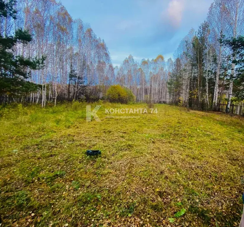 Участок в Челябинская область, Миасский городской округ, пос. Тыелга ... - Фото 2