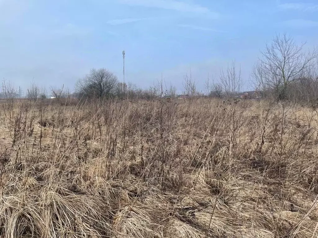 Участок в Московская область, Воскресенск городской округ, с. Ачкасово ... - Фото 1