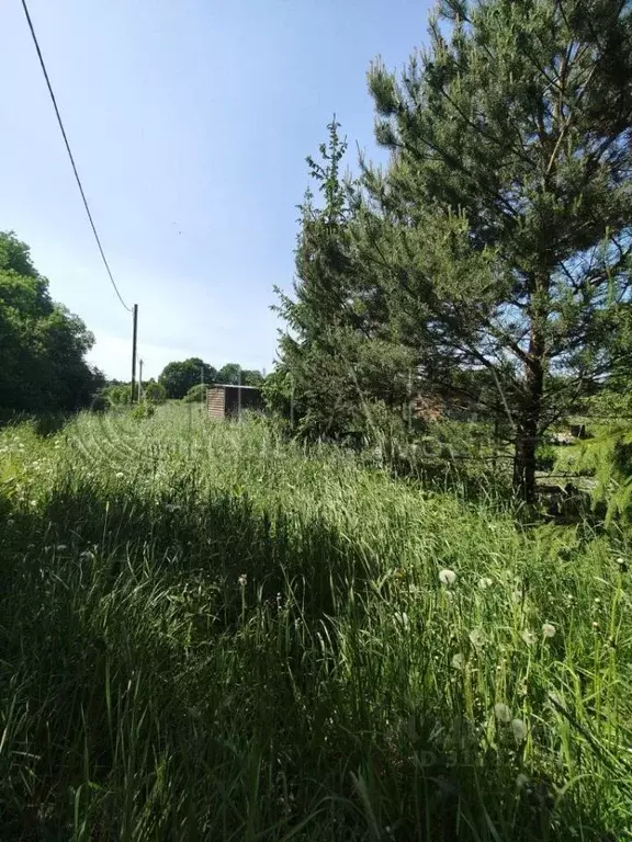 Участок в Ленинградская область, Приозерский район, Севастьяновское ... - Фото 1