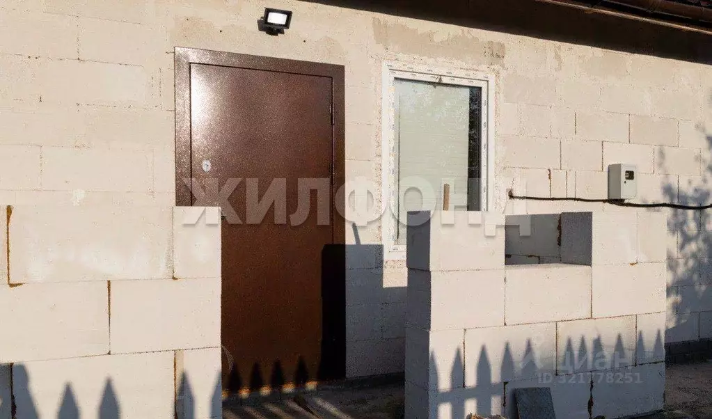 Дом в Алтайский край, Барнаул Дружба СНТ,  (45 м) - Фото 1