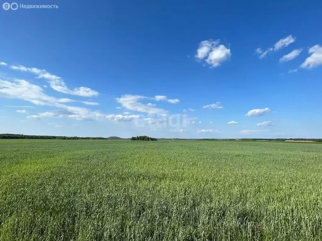 Участок в посёлок Сосновый Бор, М-12, 1072-й километр (7149.3 м) - Фото 1
