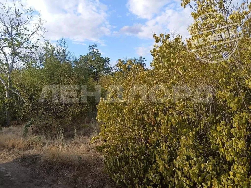 Участок в Ростовская область, Новочеркасск № 16 садовое товарищество, ... - Фото 1