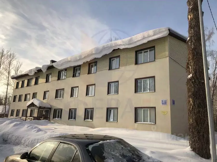 Студия Новосибирская область, Новосибирский район, Барышевский ... - Фото 1