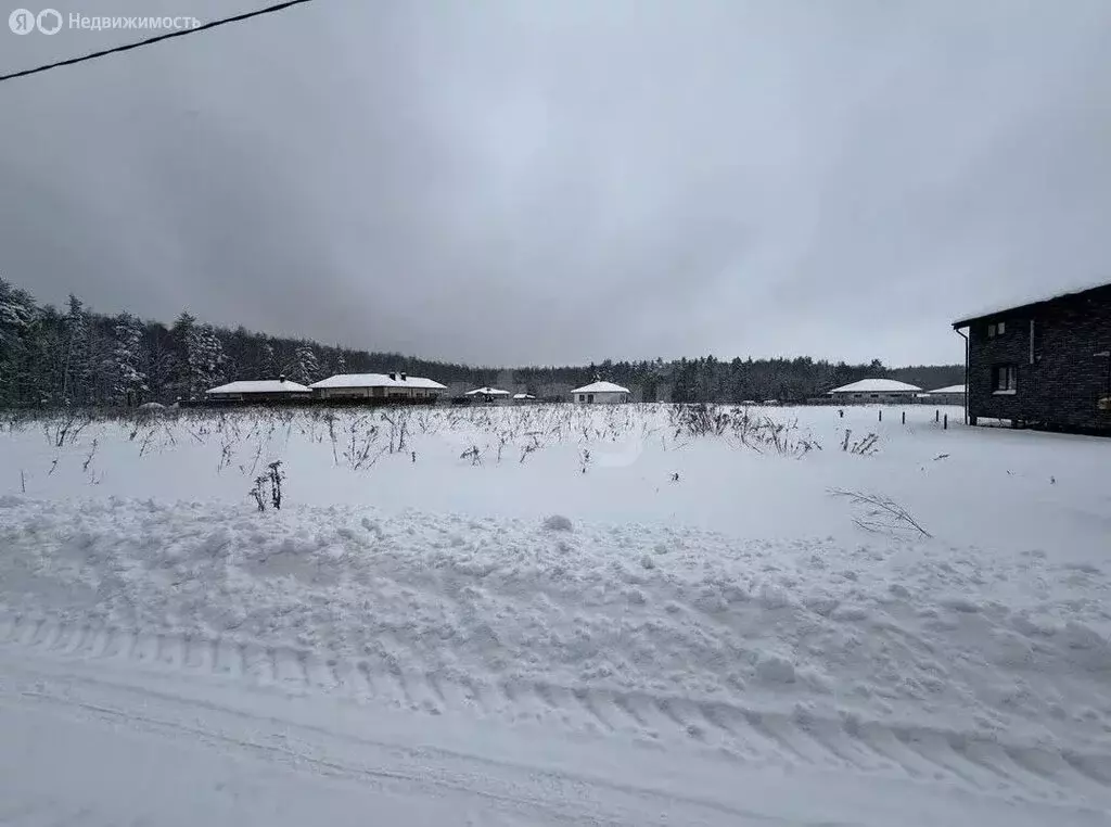 Участок в Владимирская область, Ковровский муниципальный округ, село ... - Фото 2