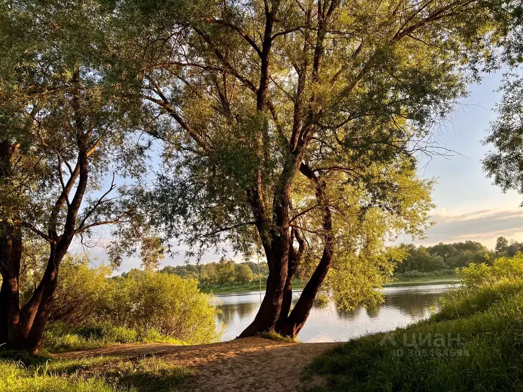 Участок в Новгородская область, Новгородский район, Савинское с/пос, ... - Фото 0