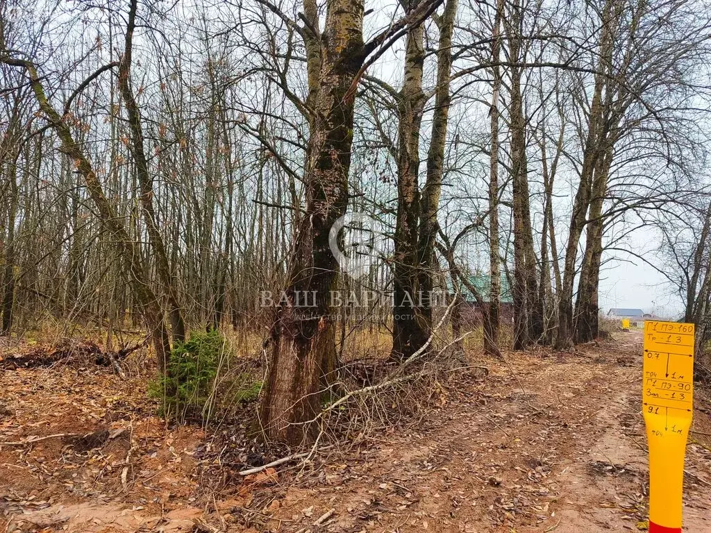 Участок в Рыбинск, Заволжский планировочный район, район Заволжье-2, ... - Фото 2