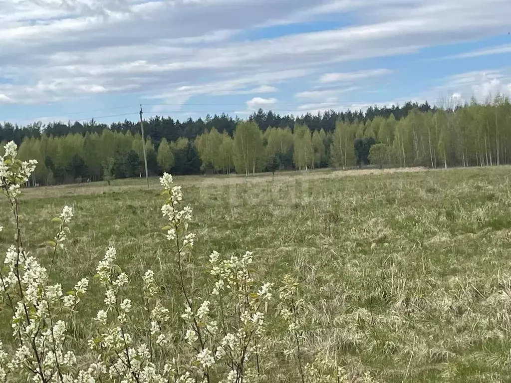 Участок в Псковская область, Печорский муниципальный округ, д. Машково ... - Фото 1