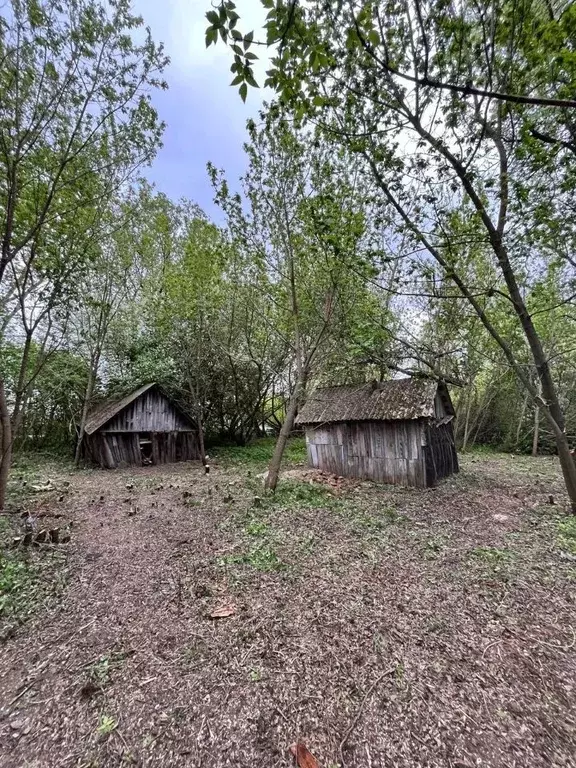 Участок в Рязанская область, Шиловский район, Желудевское с/пос, с. ... - Фото 1