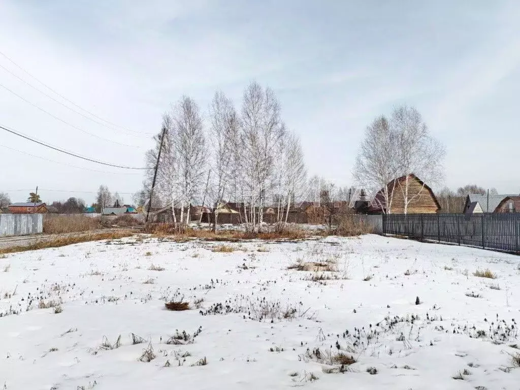 Участок в Тюменская область, Нижнетавдинский муниципальный округ, ... - Фото 2