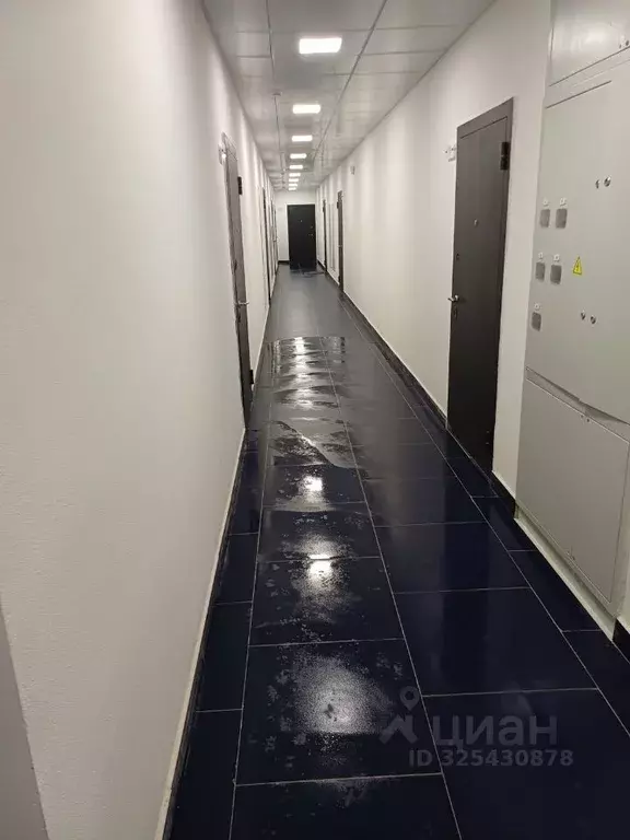 Студия Московская область, Домодедово городской округ, с. Ям ул. ... - Фото 1