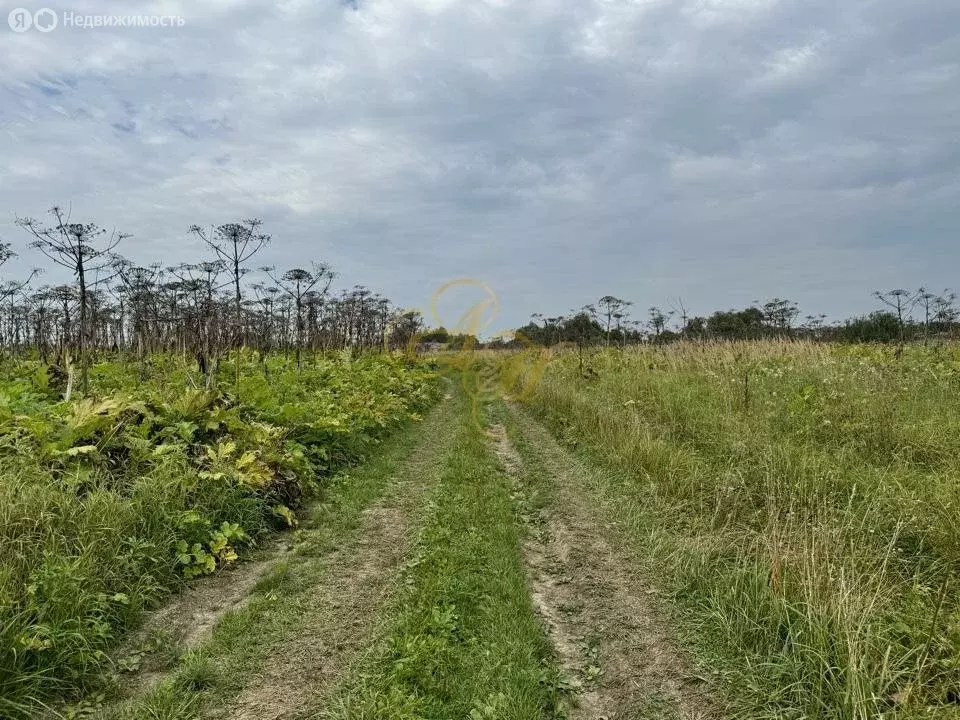 Участок в Московская область, городской округ Клин, деревня Слободка ... - Фото 1