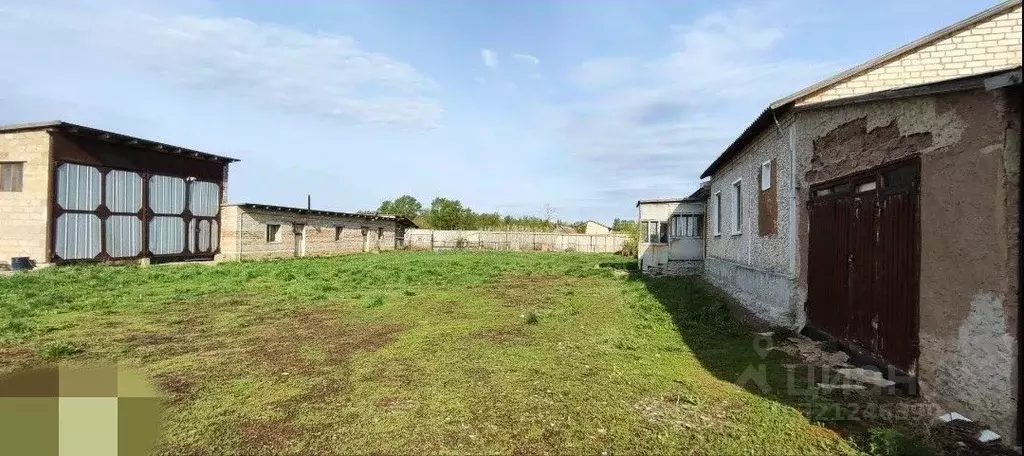 Дом в Оренбургская область, Александровский район, с. Добринка  (216 ... - Фото 2