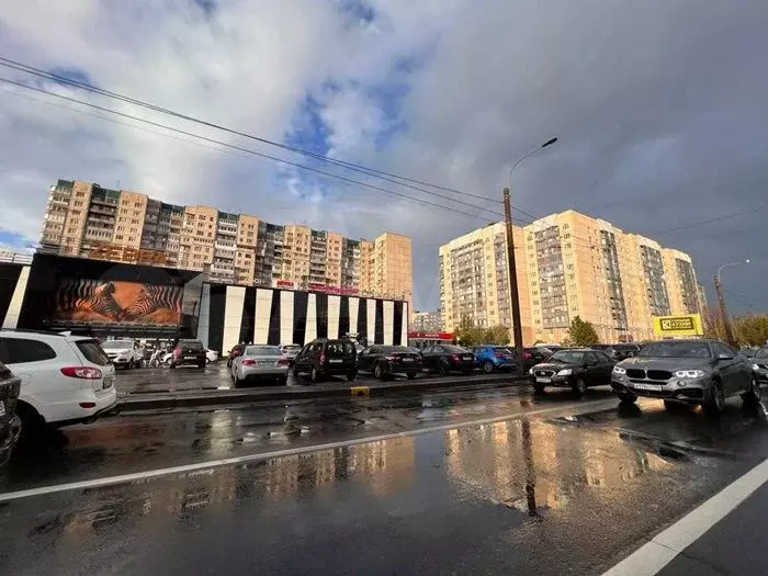 Продажа с арендаторами. НДС. ул. Косыгина 30 - Фото 1