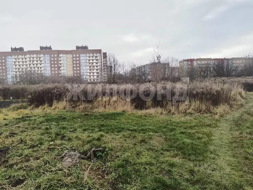 Участок в Брянская область, Брянский район, Снежское с/пос, пос. ... - Фото 2