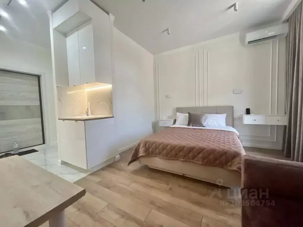 Студия Краснодарский край, Туапсинский муниципальный округ, с. ... - Фото 2